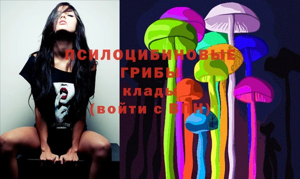 сатива Абинск