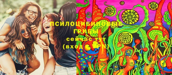 сатива Абинск
