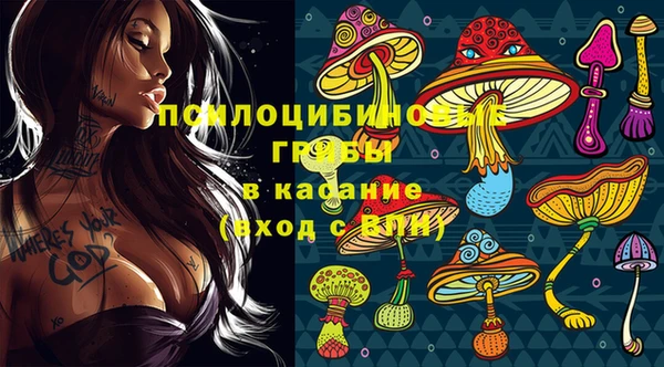 спиды Абаза
