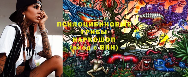 сатива Абинск