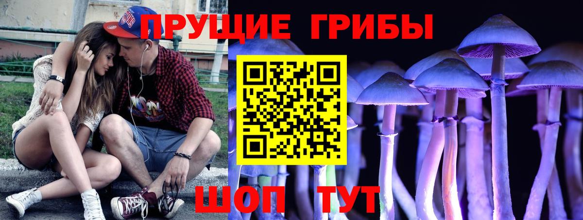 Псилоцибиновые грибы ЛСД  Вход с VPN  Абакан 